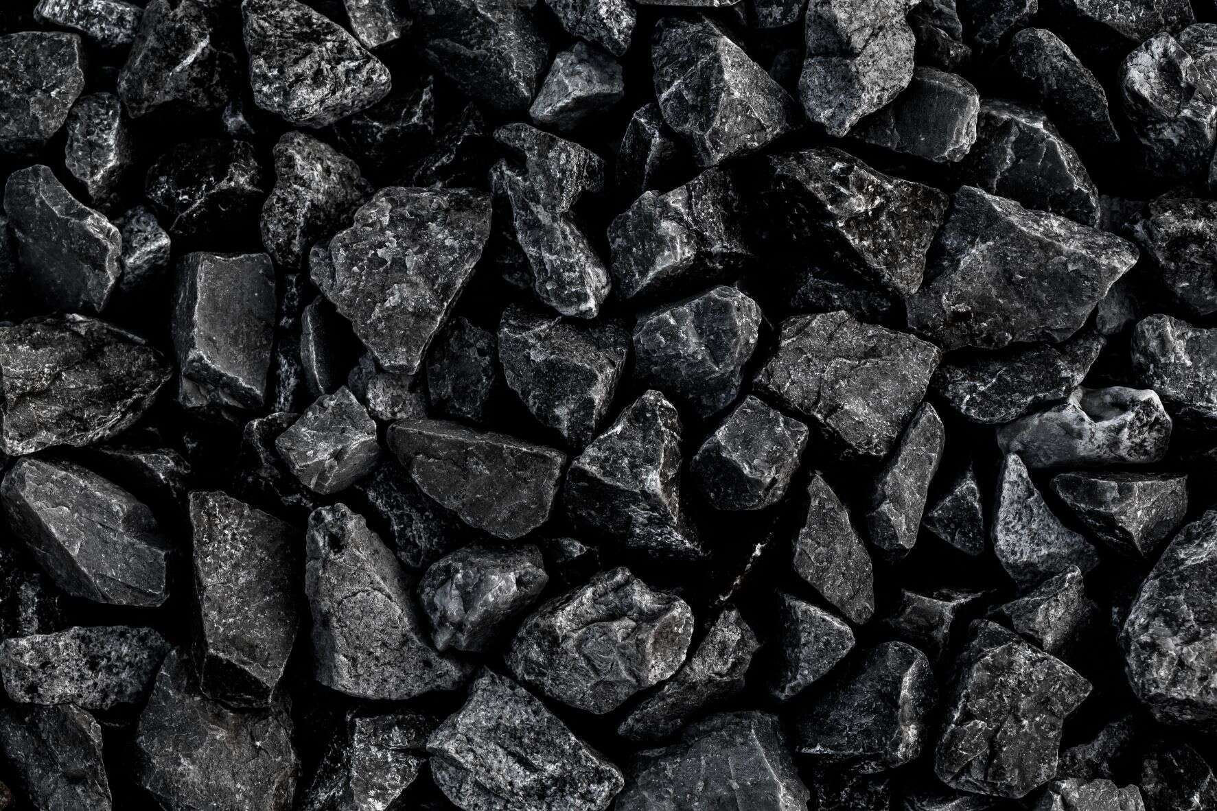 coal policy