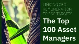 Linking CEO remuneration to ESG targets: The top 100 asset managers