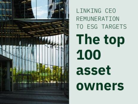 Linking CEO remuneration to ESG targets: The top 100 asset owners