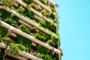 green city, sustainable bonds, local government, municipal