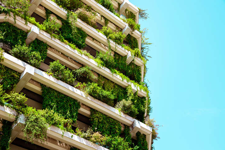 Green city, sustainable bonds, local government