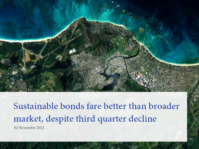 Sustainable bonds fare better than broader market, despite third quarter decline