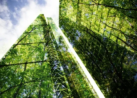 The role of green bonds in financing the urban energy transition