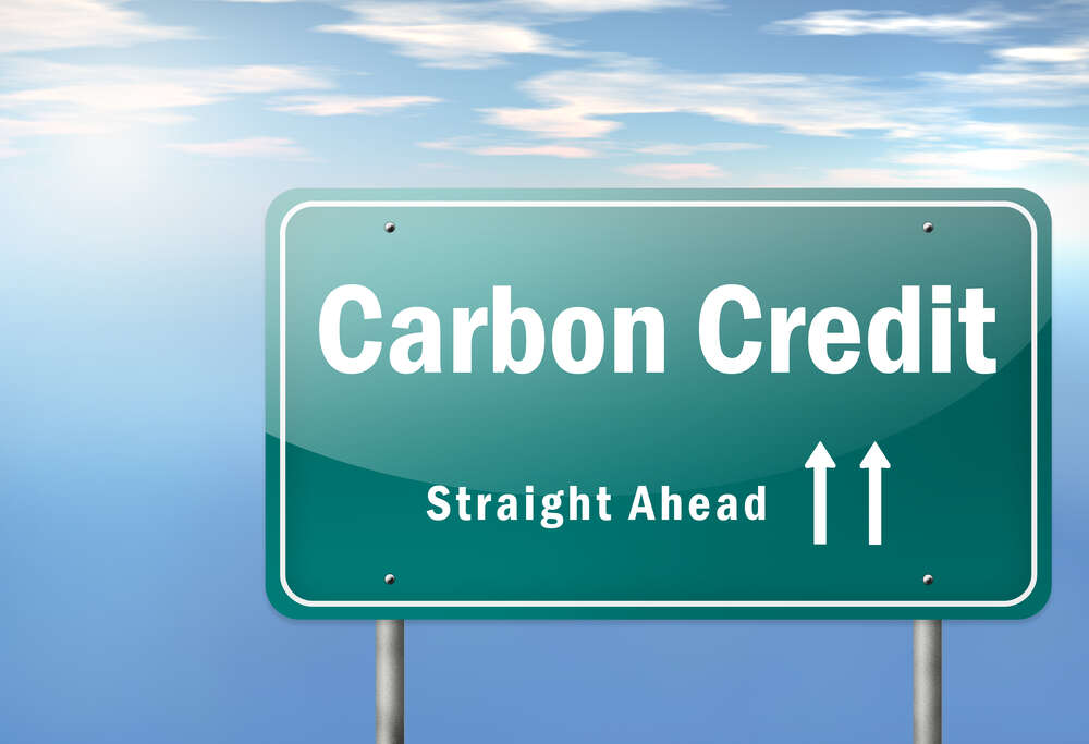 The voluntary carbon market has been shaken by concerns over the quality of credits, but there are signs of hope for reform.